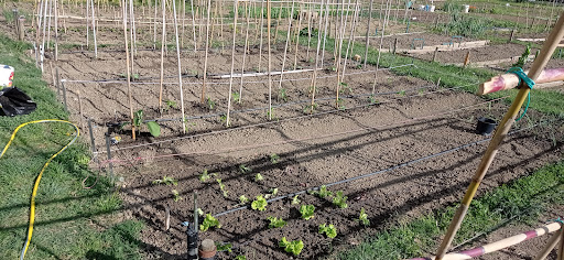 Parco via Unità d'Italia