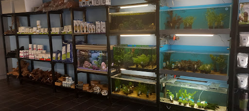 Aquaark