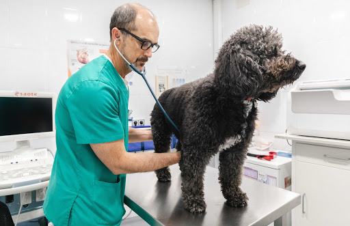 Clínica Veterinaria Taquari