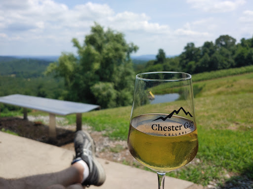 Chester Gap Cellars - Thumbnail