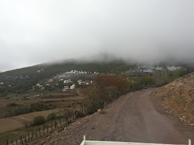 Photos of Otaghsara