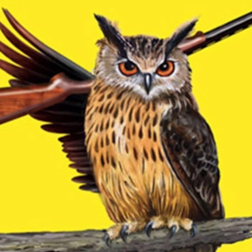 Hoot's Pawn Shop Gallery - United States