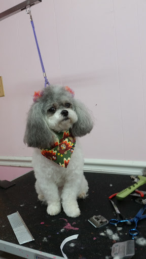 Prissy Pups II - Thumbnail
