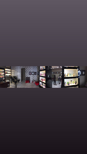 Shape Salone - Visual