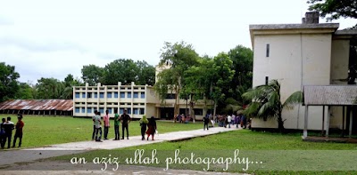 university