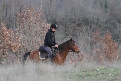 Caravan Horse Riding Albania