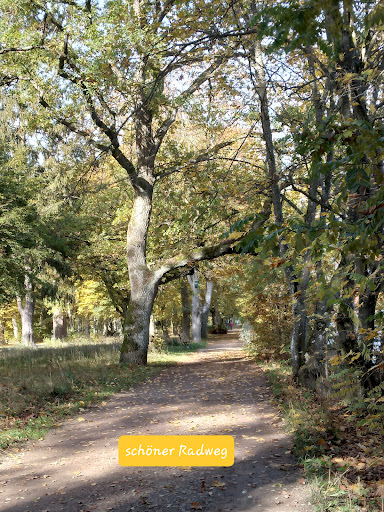 Liegestelle - Visual