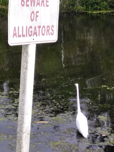 Us Hwy 19 N + Dolly Bay Dr - Thumbnail