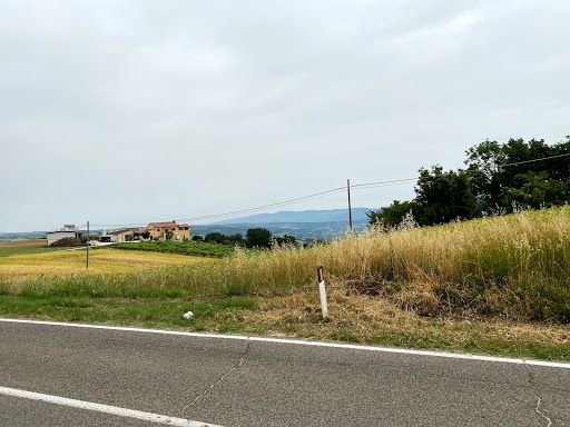 Cimitero Capitone - Thumbnail