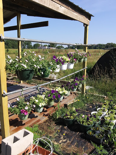 Bessie's Flower Farm & Smilax Hunters - Thumbnail