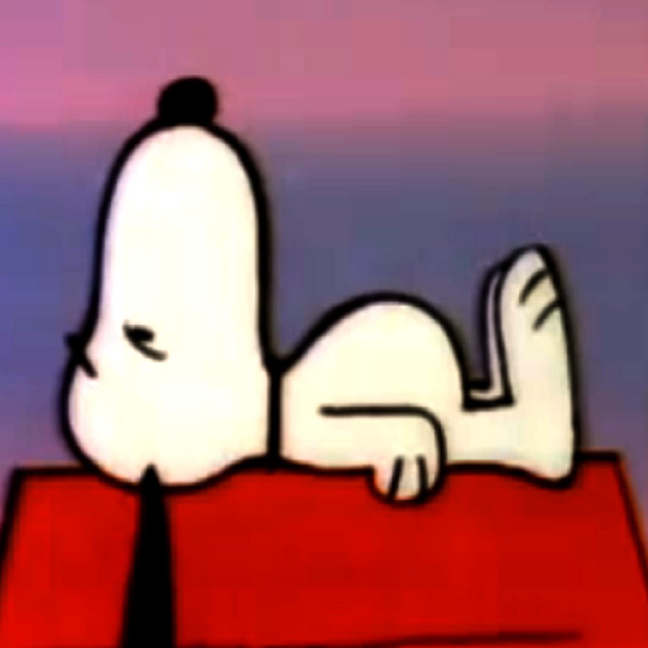 B3 K9 Training & Boarding Dog Trainer in Gillette