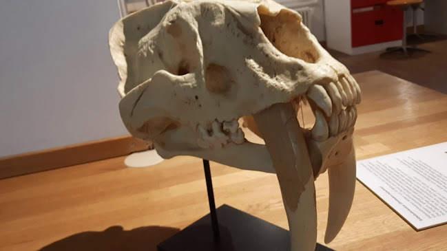 KULTURAMA Museum des Menschen Öffnungszeiten