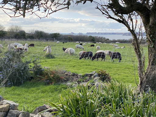 Photo de Breizh Ty Loc à Telgruc-sur-Mer (29560)