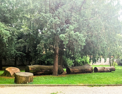 Area Fitness • Parco Europa - Thumbnail