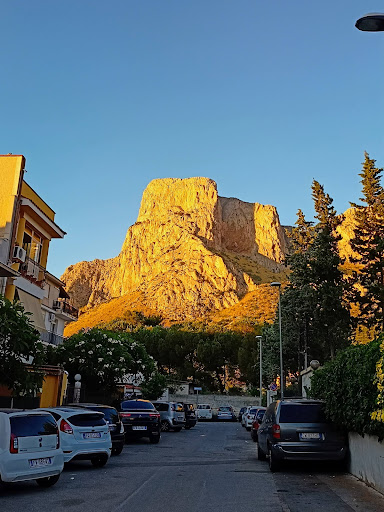 Camp Palermo - Visual