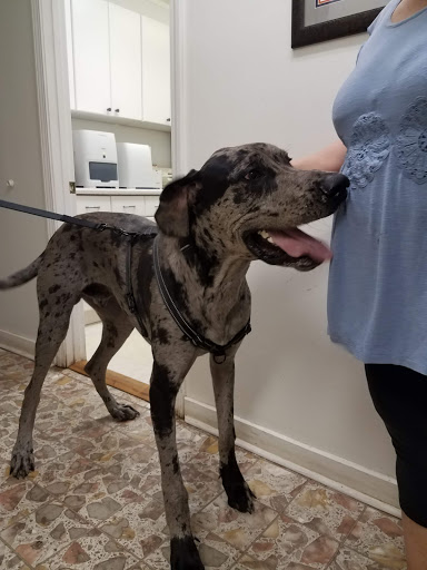 Baxley Animal Hospital - Thumbnail