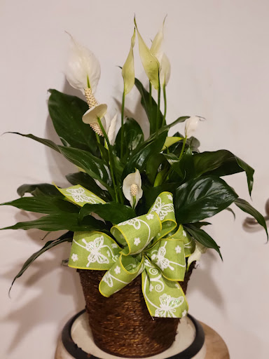 Ann Marie's Custom Floral Gallery - United States
