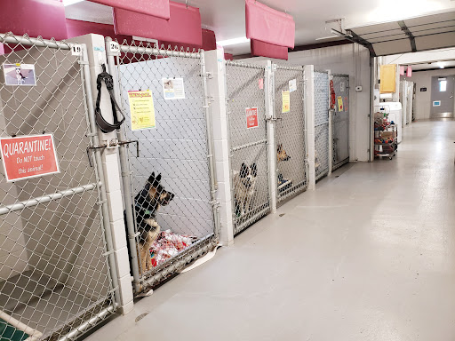 Central Dakota Humane Society - Thumbnail