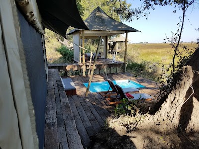 Photos of Duba Plains Camp