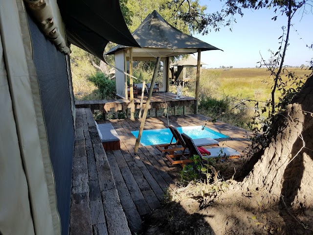 Duba Plains Camp