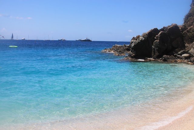 Shell Beach