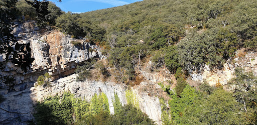 Hoya La Cueva - Thumbnail