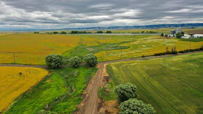 Lindsay Creek Vineyards