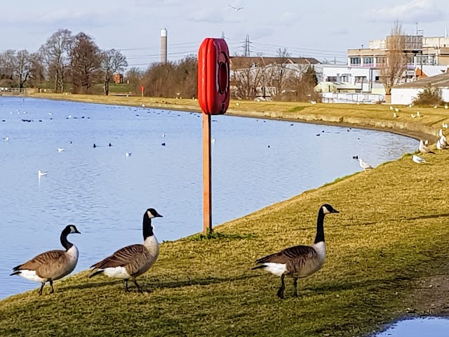 Walthamstow Wetlands