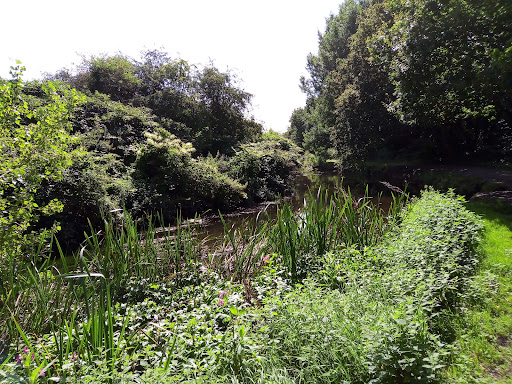 Hounslow Heath - Thumbnail