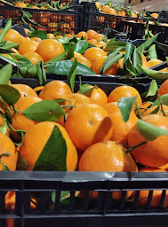 Photo n°3 de Boucherie Pous du Plan à Carpentras (Boucherie)