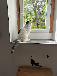 Photo n°31 de Pension Canine et Féline La Louvetière Le Mans-72-Sarthe La Chartre sur le Loir Ecommoy Le Lude Bouloire à Saint-Mars-d'Outillé (Garde d'animaux de compagnie)