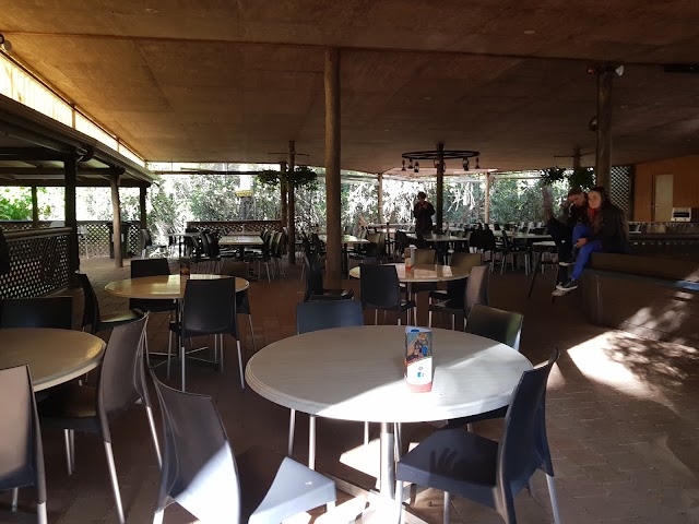 Capricorn Caves