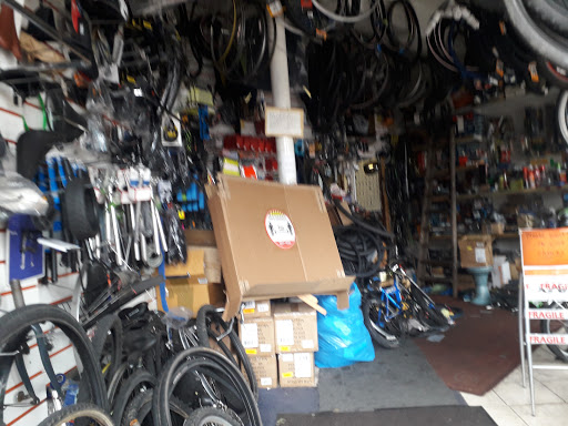 Auto Cycles - Visual