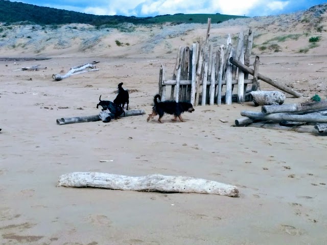 Porto Ferru