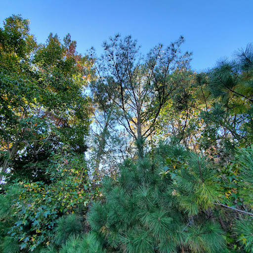 Cedell Brooks, Jr. Park - Thumbnail
