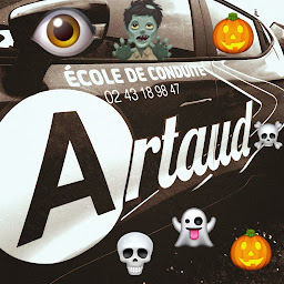 Photo n°19 de Auto-école Artaud (stage accéléré Code et Conduite) à Le Mans (Auto-école)