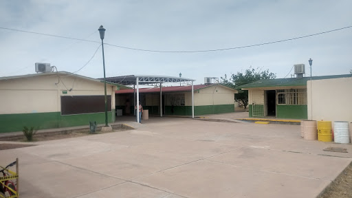 Escuela Primaria Salvador Orozco Mtz 2677