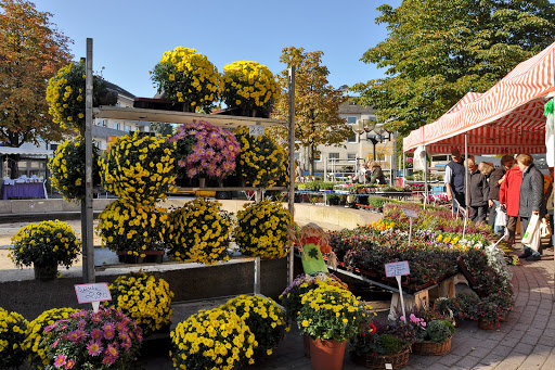 Wochenmarkt Haan - Thumbnail