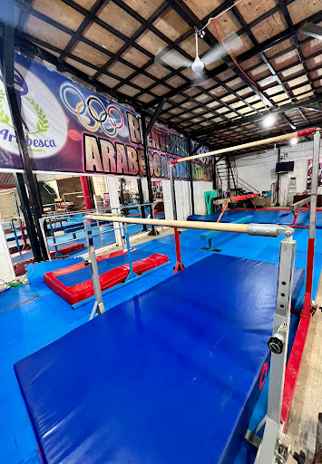 Arabesca Gymnastic’s