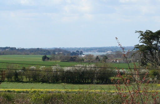 Eastern Lee - Thumbnail