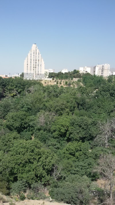 Photos of پارک آبنوس