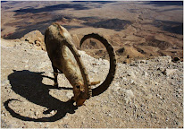 Visa Chine Tourisme à Saint-Rémy-lès-Chevreuse