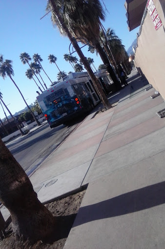 Palm Canyon at Baristo Gallery - United States