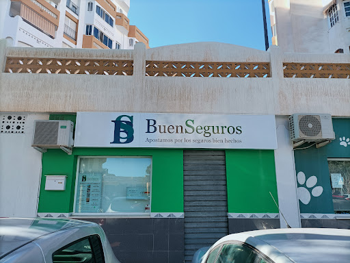 BuenSeguros - Visual