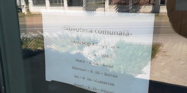 447360, Strada Negruzzi 2, Carei 445100