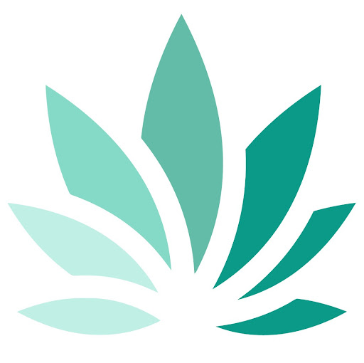 Chronic Doctors Pty Ltd - Thumbnail