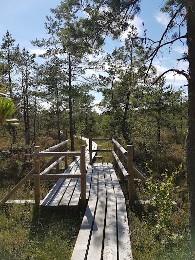 Photos of Sēra Diķi in Ķemeri National Park