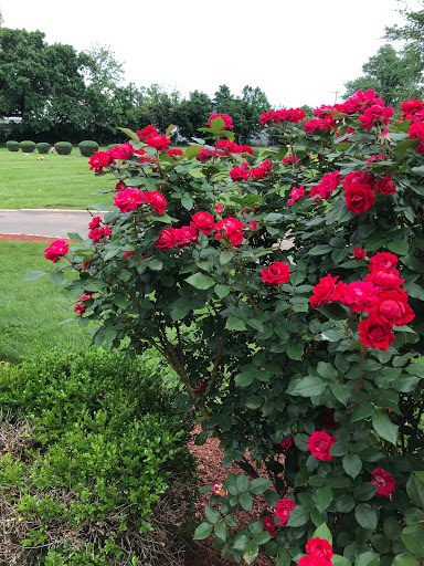 Rosemount Memorial Park - Thumbnail