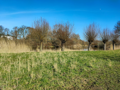 Looierspark