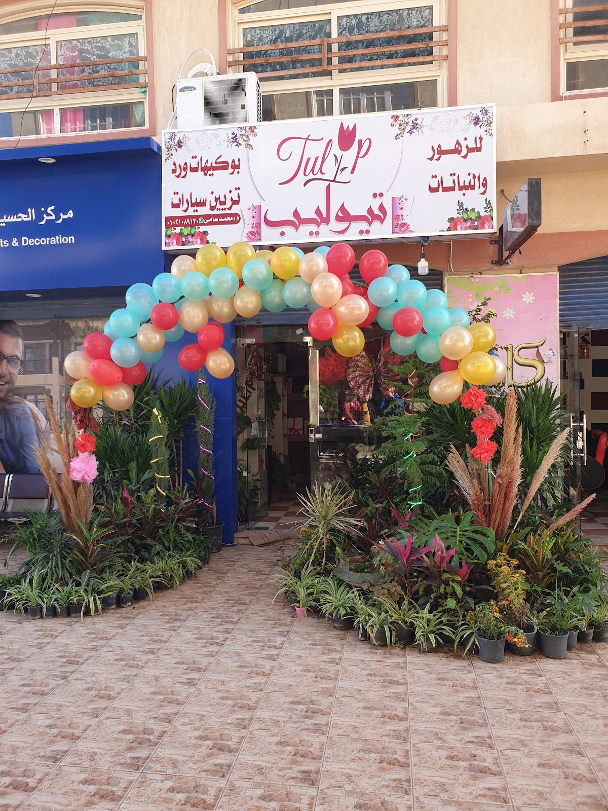 TULIP FLOWERS تيوليب للزهور - صورة 2